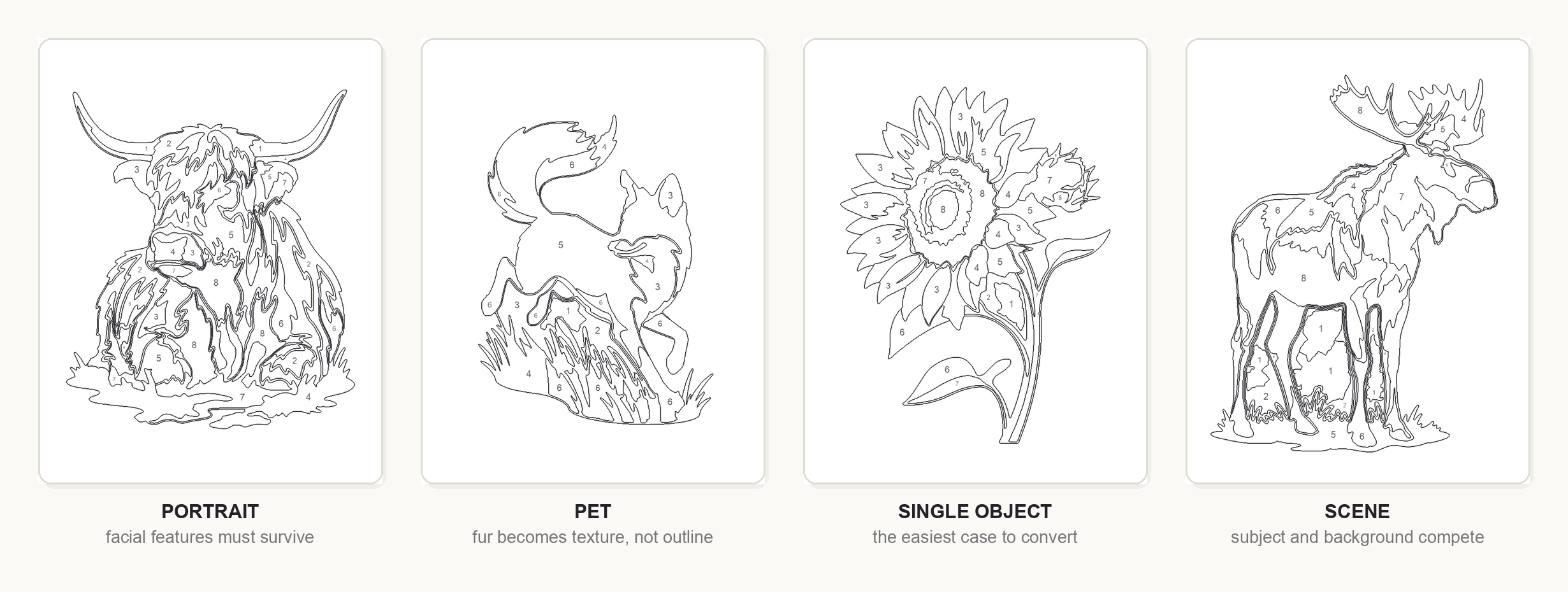 Color-by-number templates for a portrait, a pet, a single object, and a scene