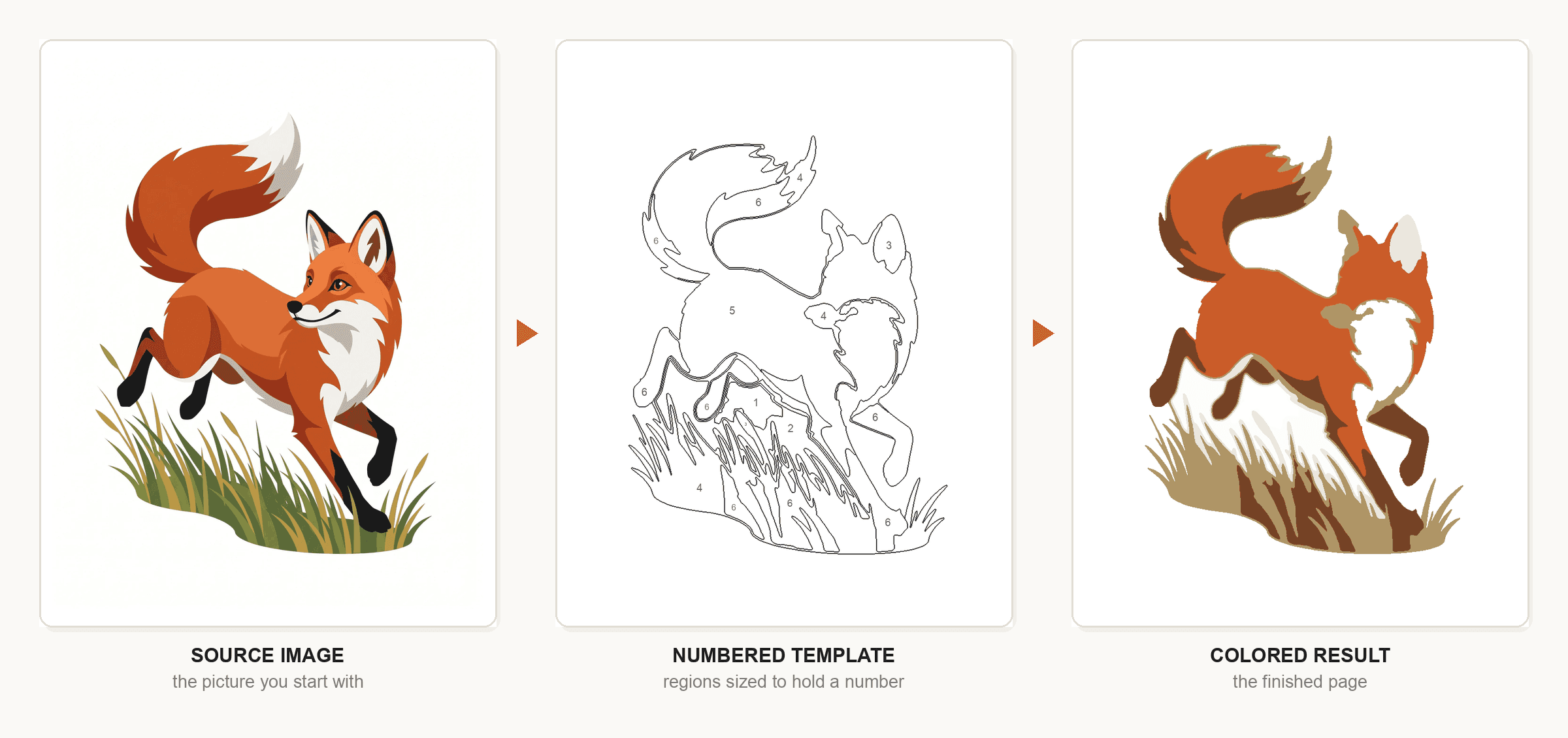A source image, the numbered template generated from it, and the colored result