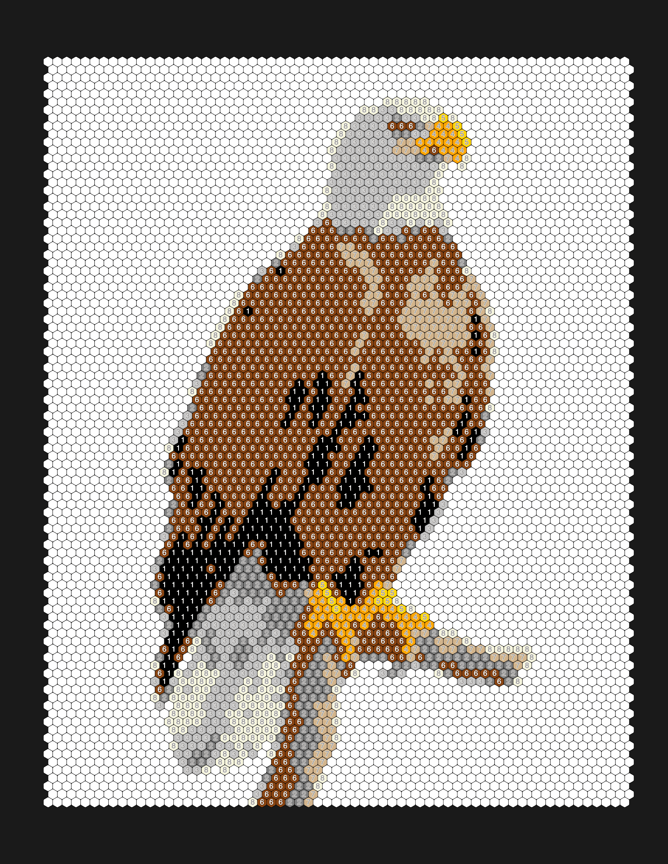 Wildlife photo converted into a color-by-number coloring page