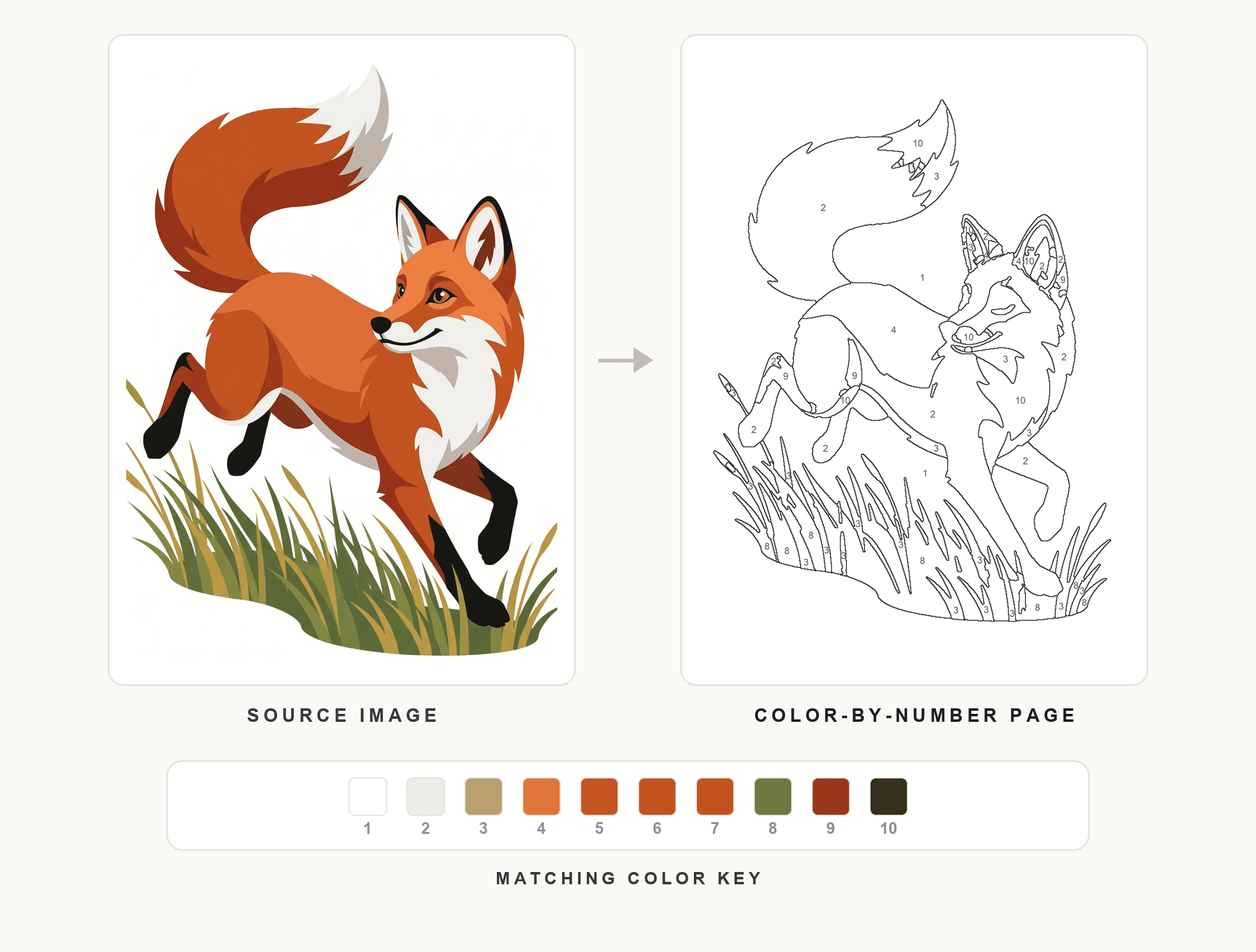 A photo converted into a structured color-by-number page with clear regions for guided coloring