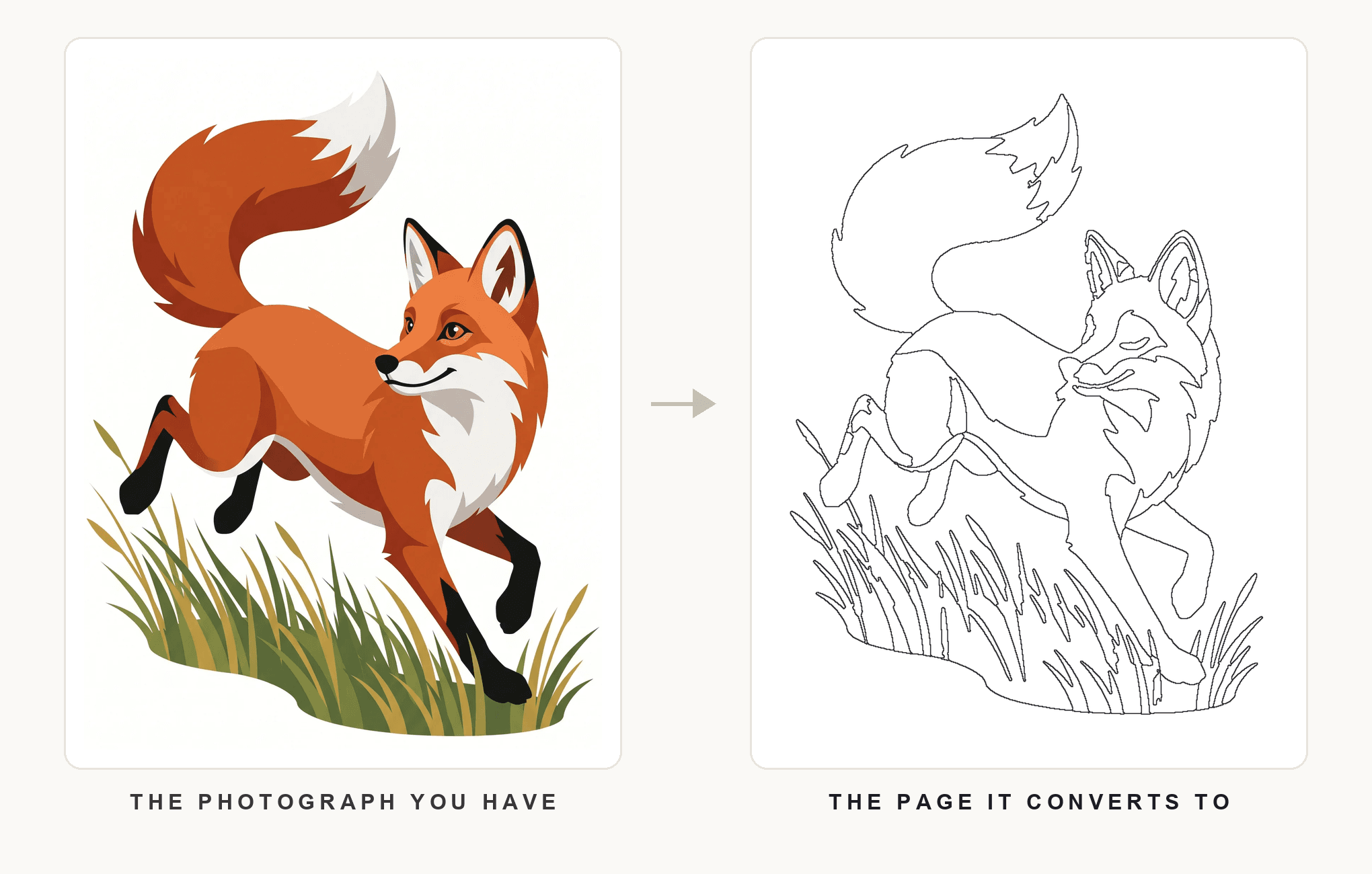 A photograph transformed into a clean printable coloring page while preserving the main subject