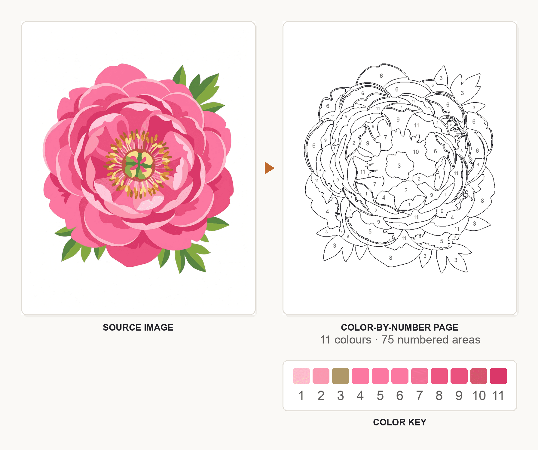 A source image transformed into a structured color-by-number page with numbered regions and a matching color key
