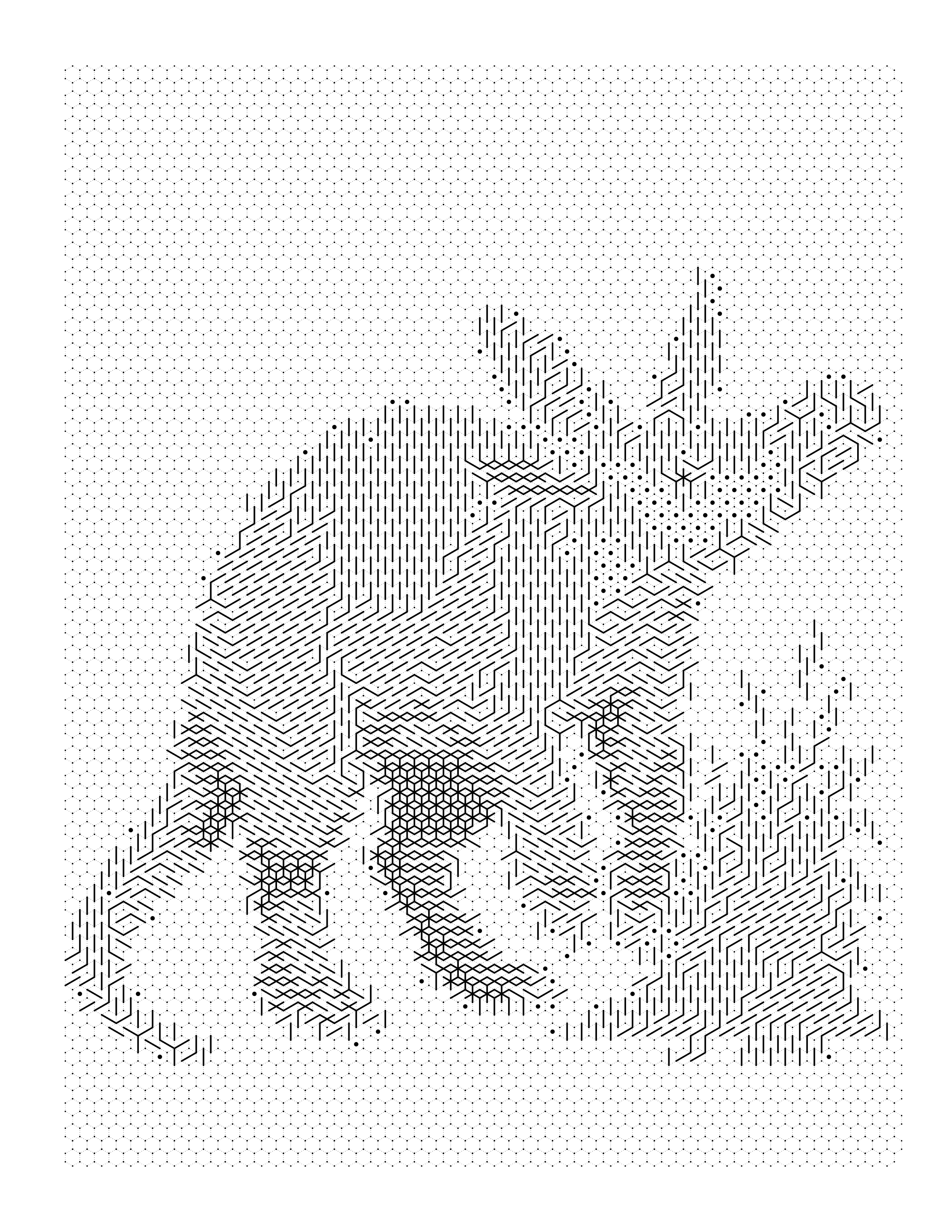Colored Aardvark coloring page example