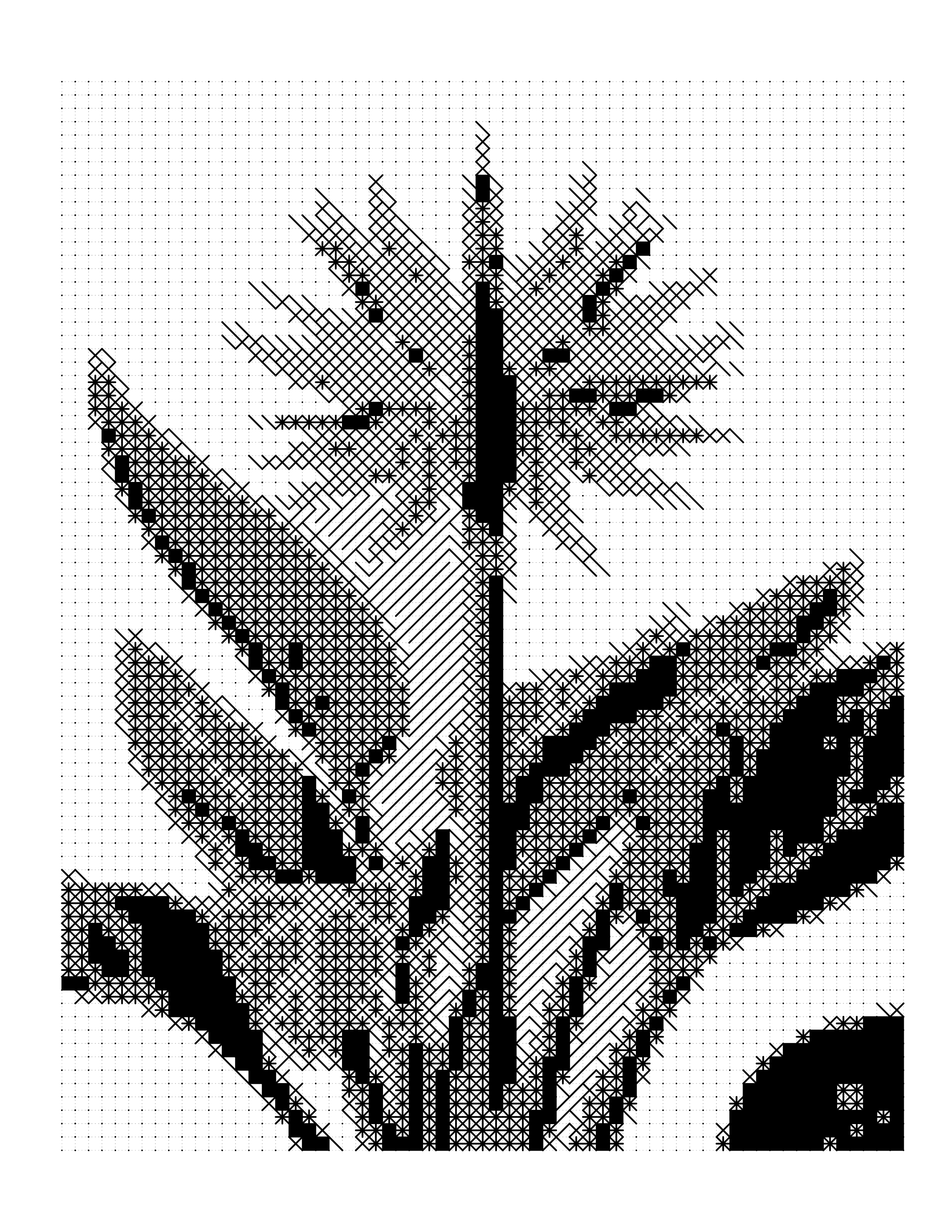 Colored Bird of Paradise coloring page example