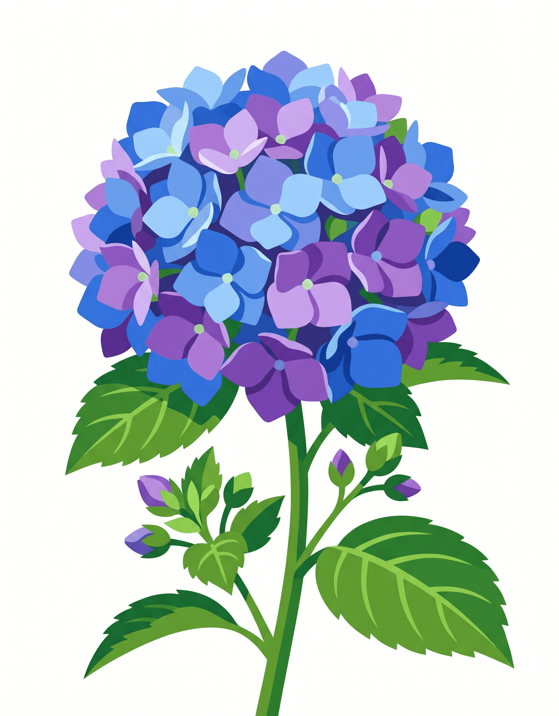 Original Blue Hydrangea photo