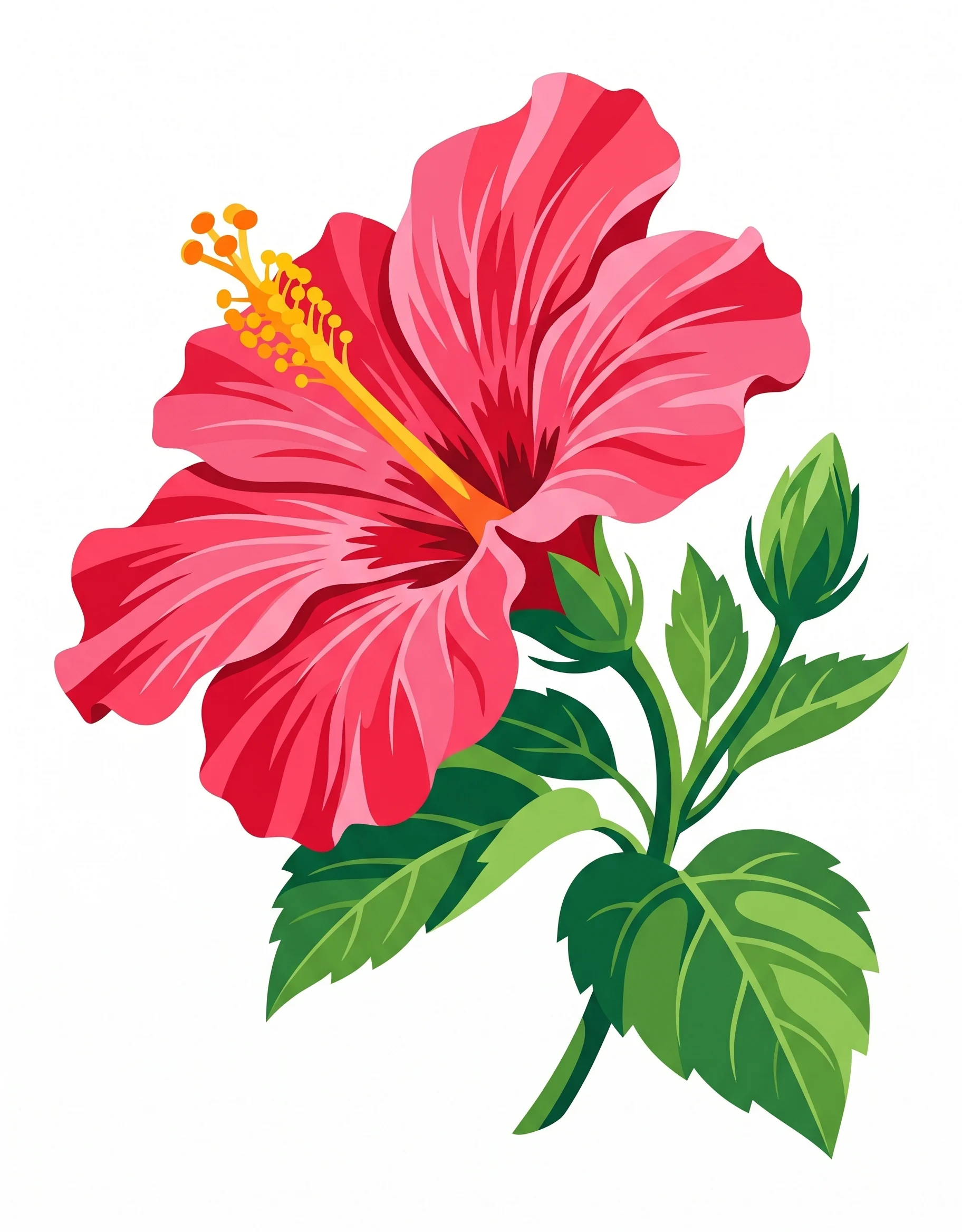 Original Hibiscus photo