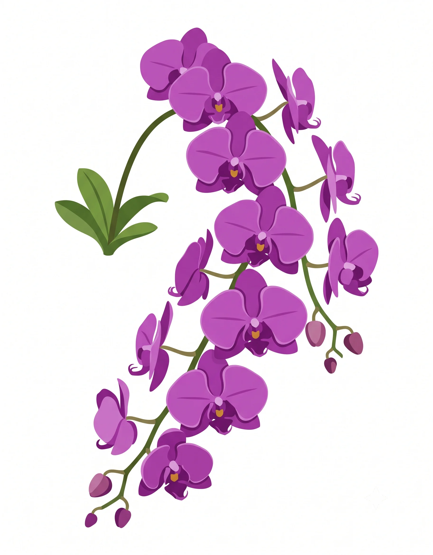 Original Purple Orchid photo