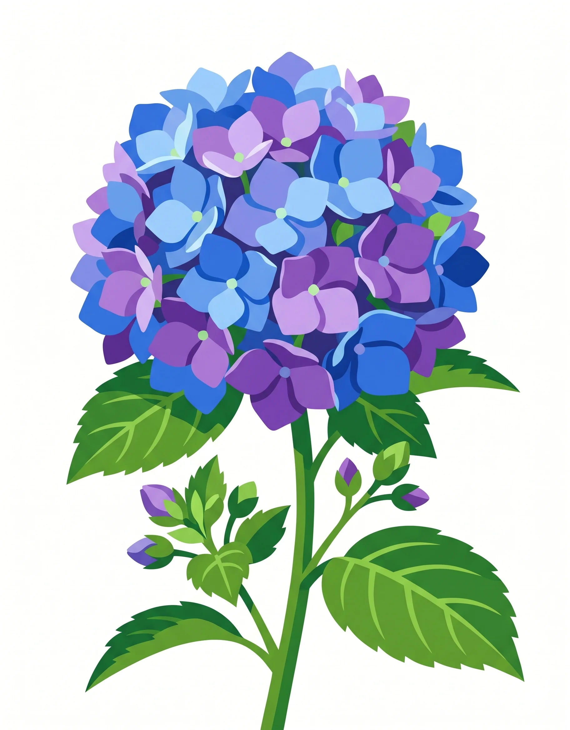 Original Blue Hydrangea photo