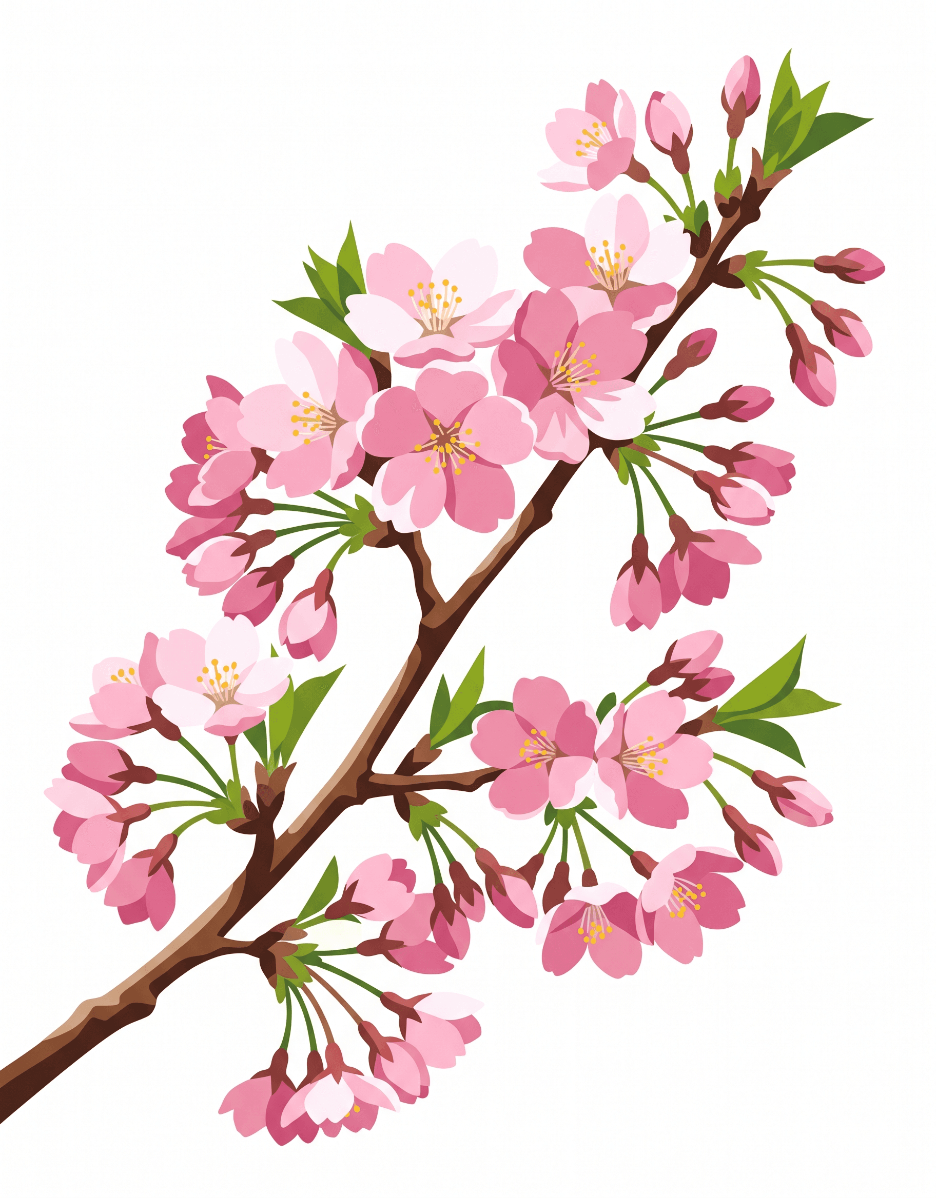Original Cherry Blossom photo