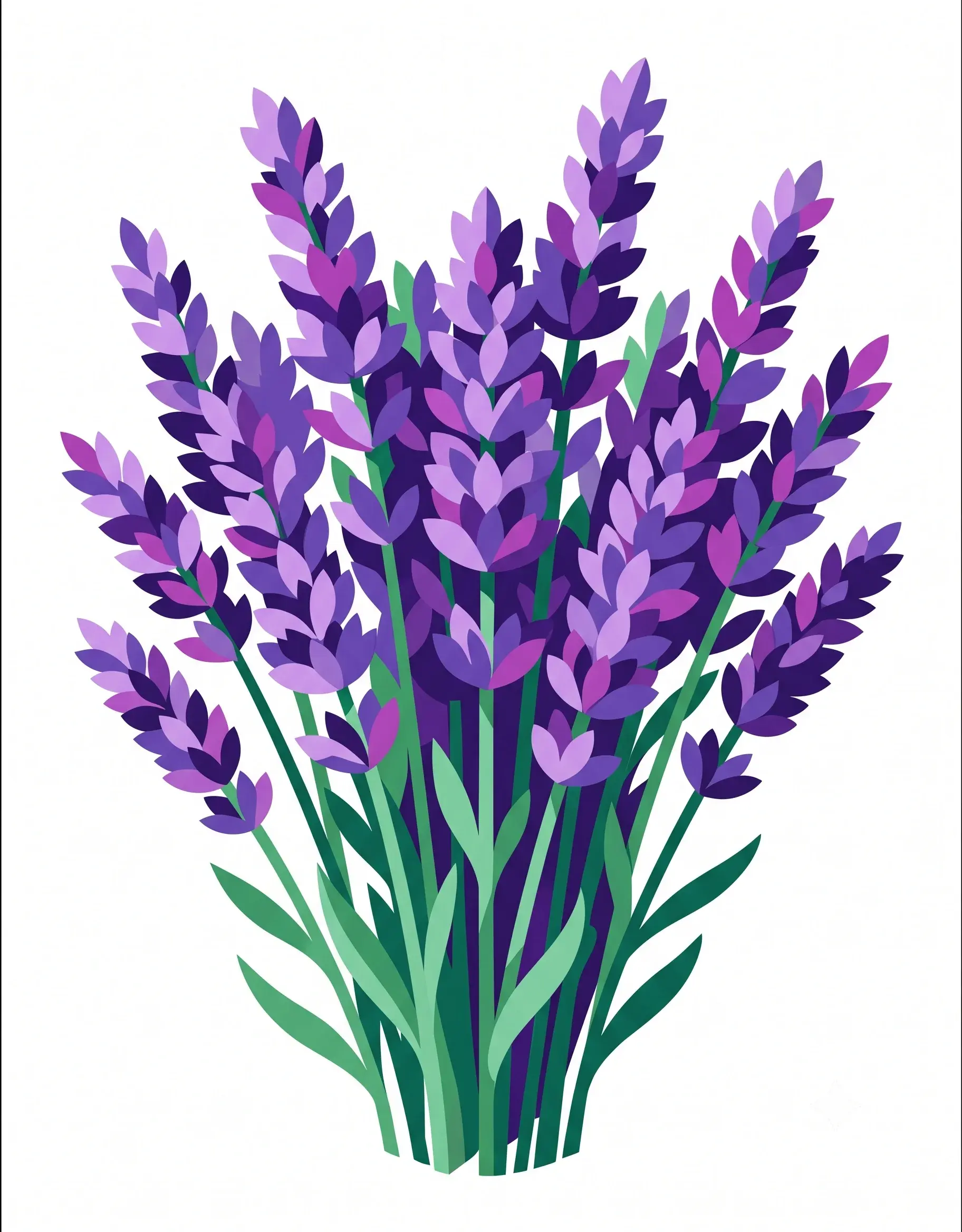 Original lavender illustration